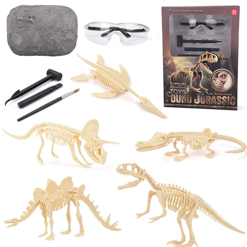 Model Kit Girl - Kit Penggalian Fosil Dinosaurus STEM Menggali